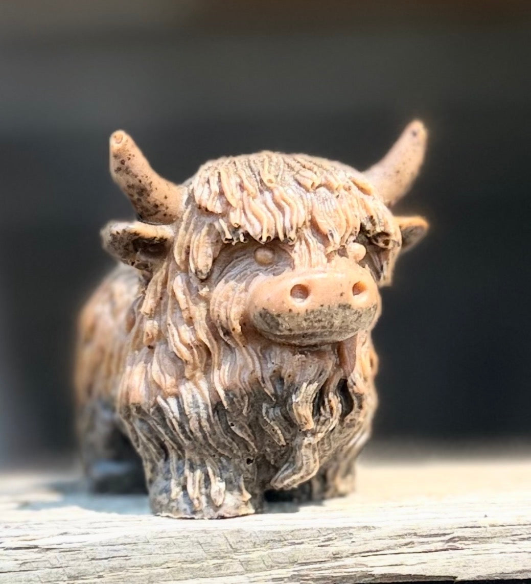 Highland Cow ~ Pumpkin Spice with Coffee Grounds