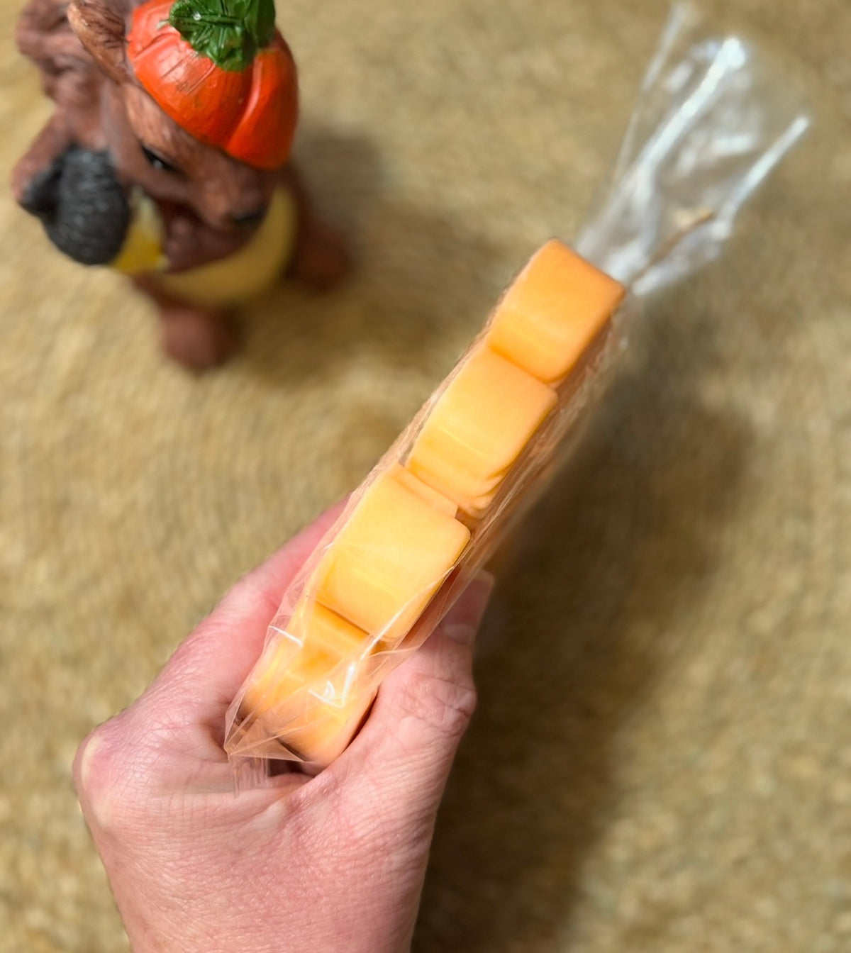 Mini Pumpkins (10)