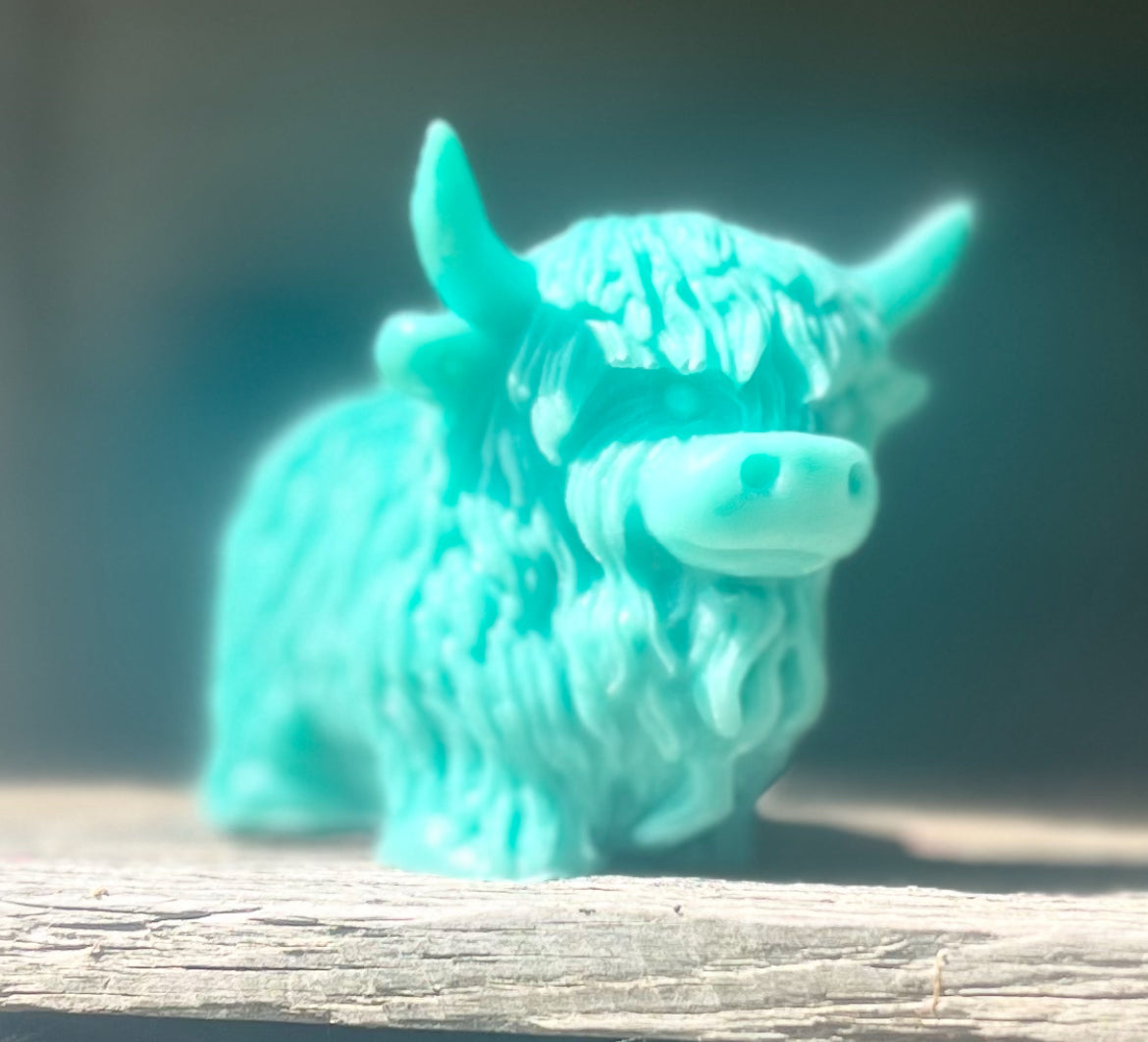 Highland Cow