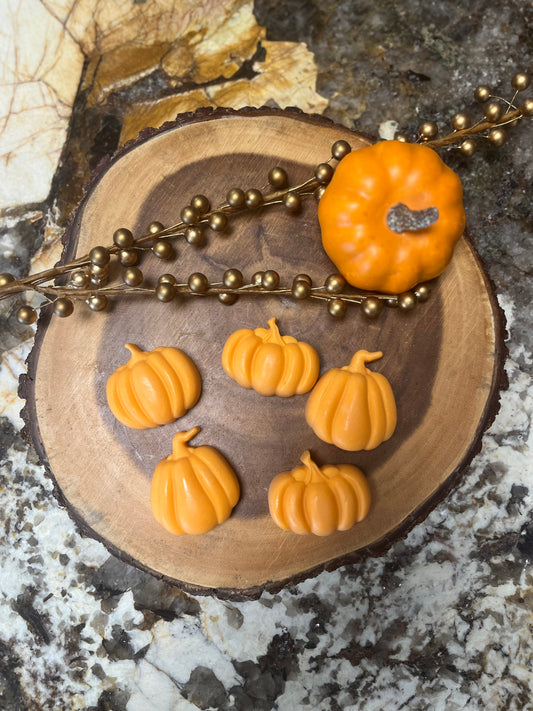 Pumpkin Spice Decorative Soaps (5)