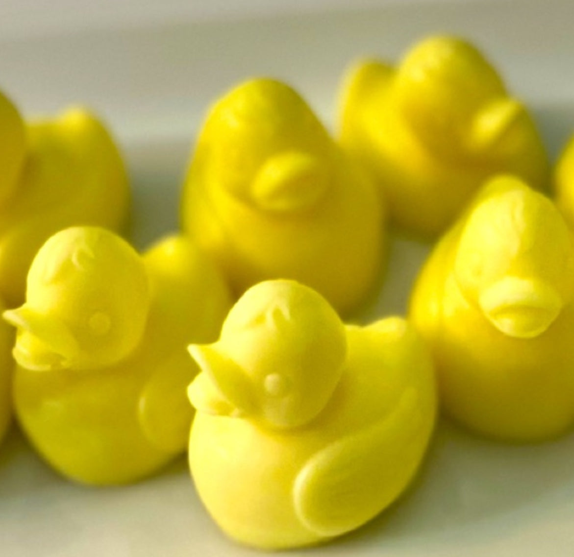 Duck Soap