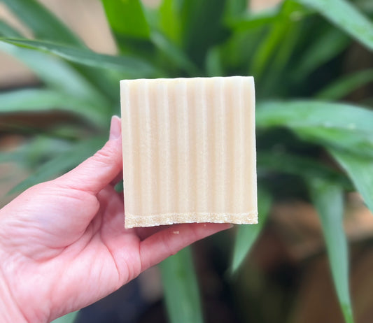 Key Lime Pie Soap