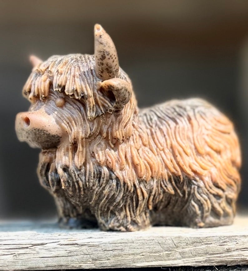 Highland Cow ~ Pumpkin Spice with Coffee Grounds