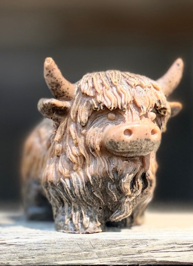Highland Cow ~ Pumpkin Spice with Coffee Grounds