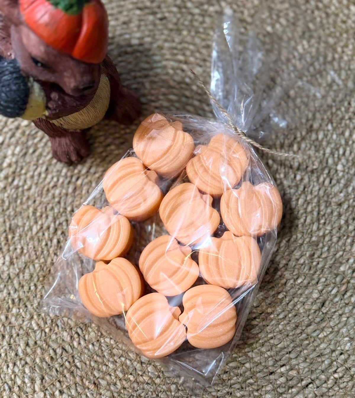 Mini Pumpkins (10)