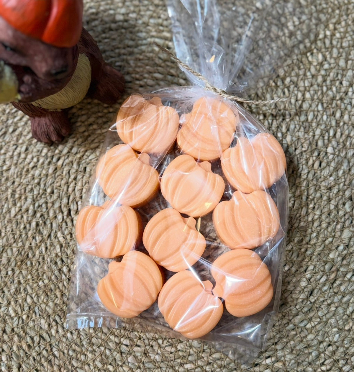 Mini Pumpkins (10)
