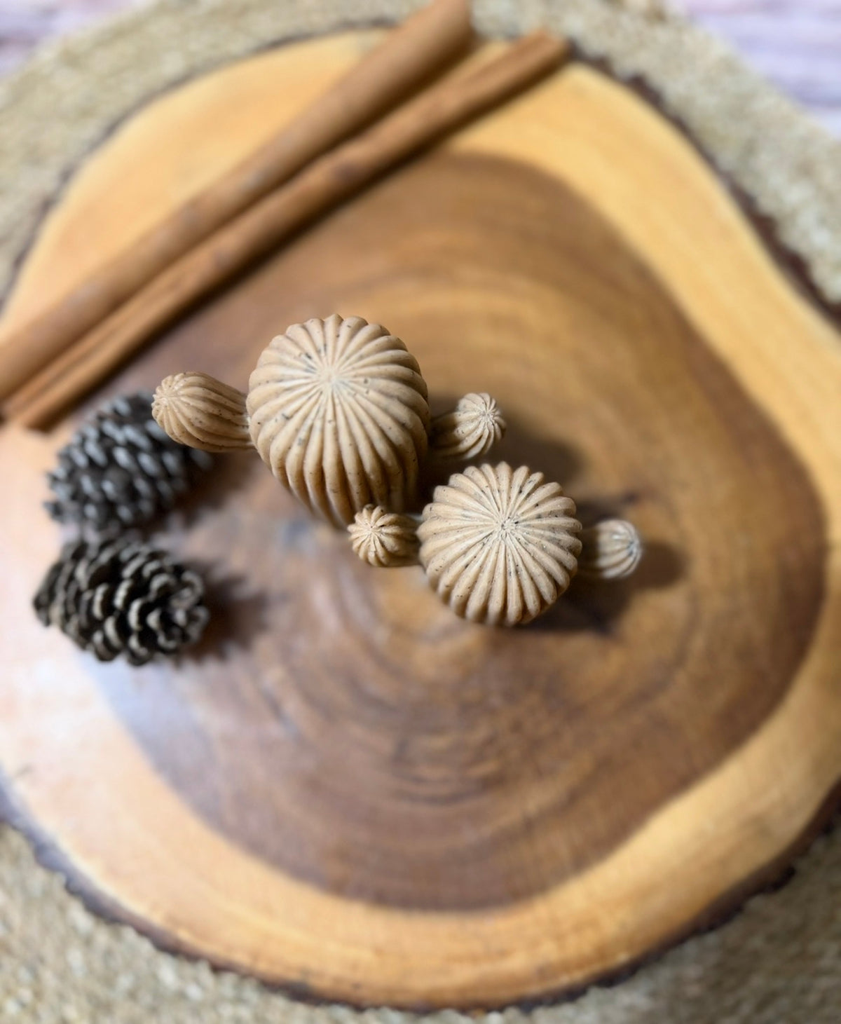 Cacti Soap Set
