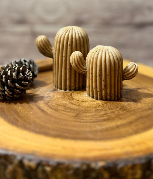 Cacti Soap Set