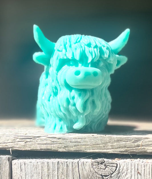 Highland Cow