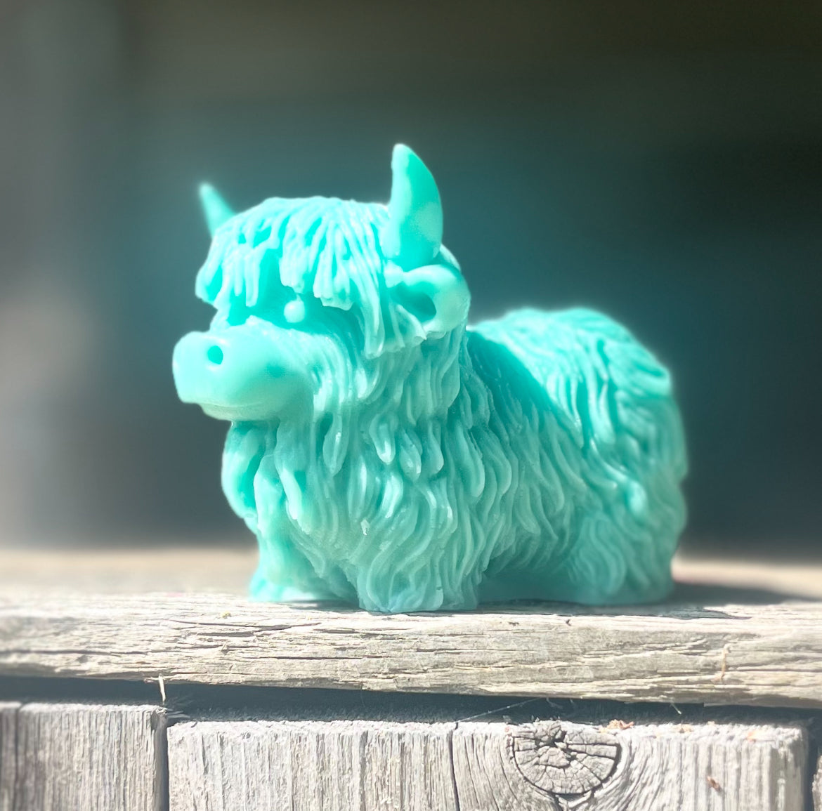 Highland Cow
