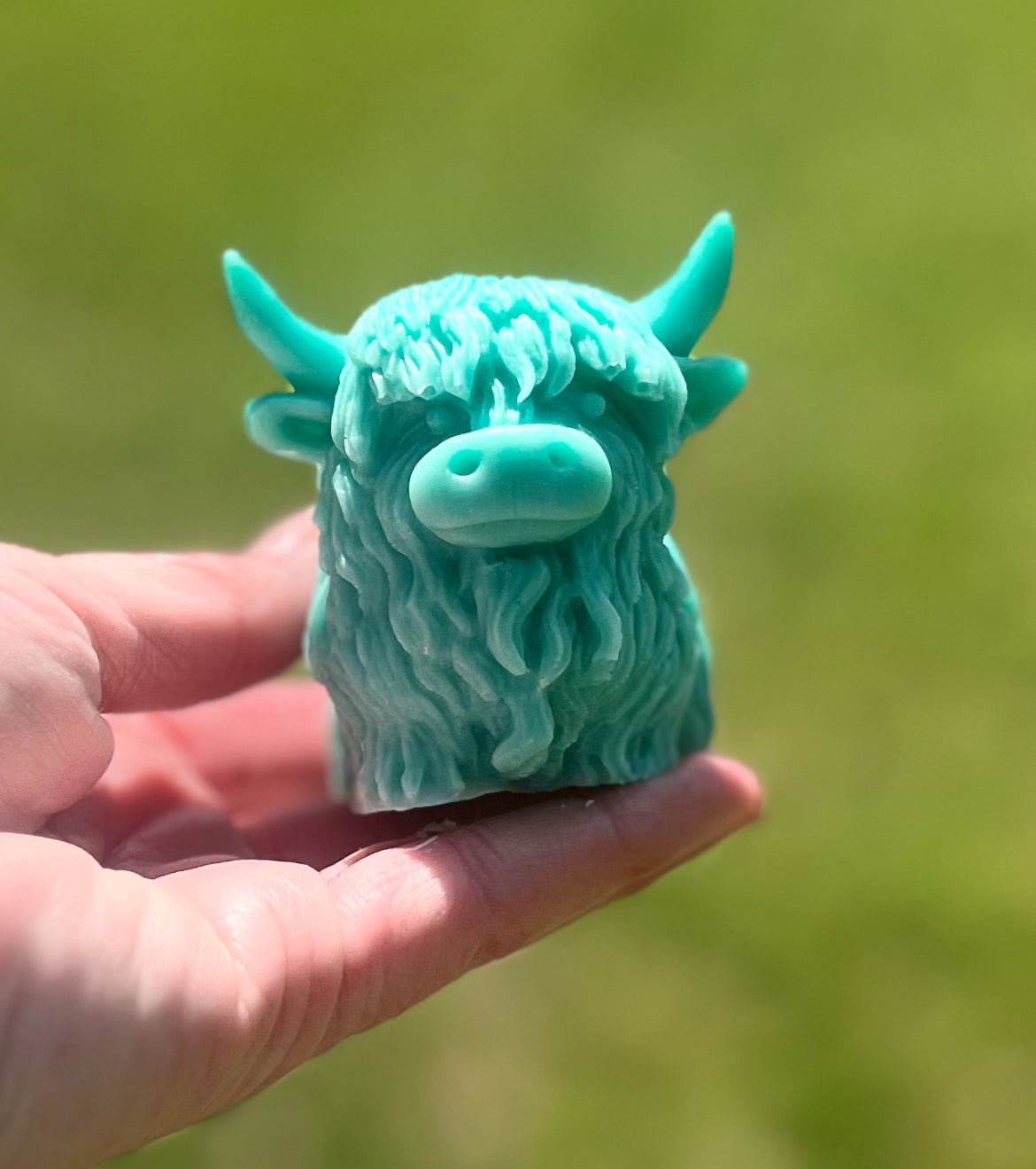 Highland Cow