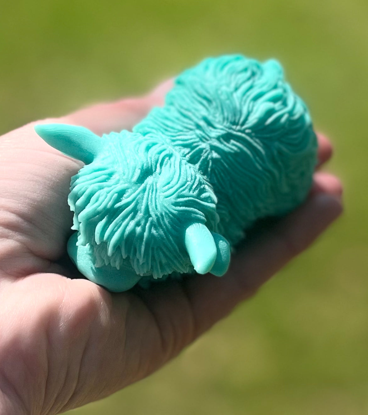 Highland Cow