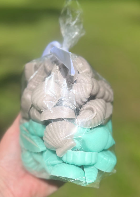 Seashells