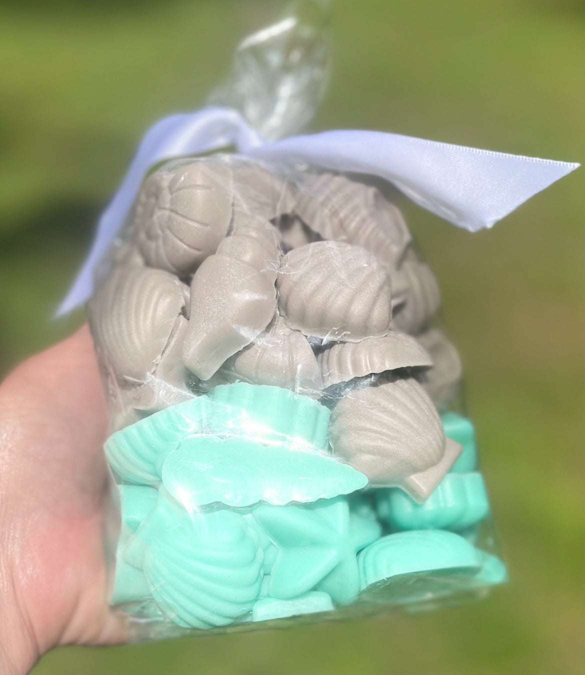 Seashells
