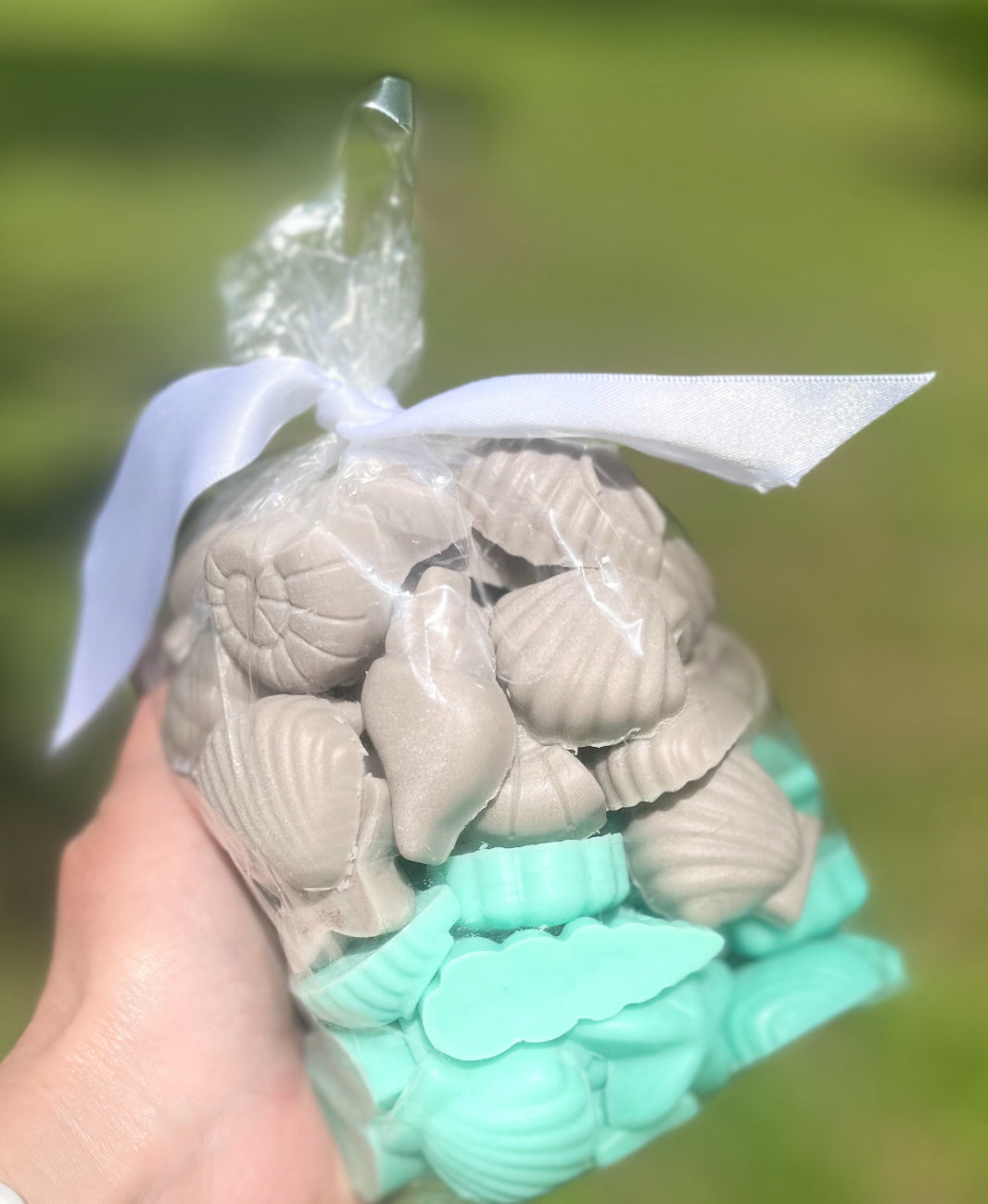 Seashells