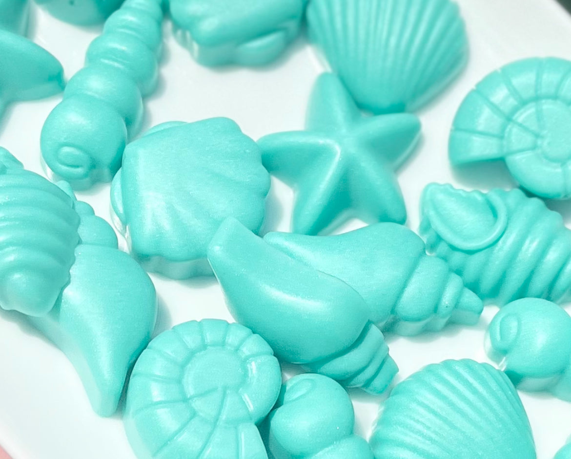 Seashells