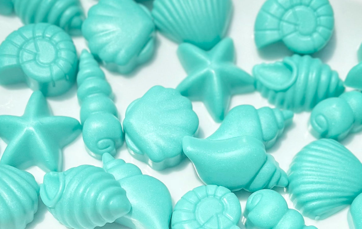 Seashells