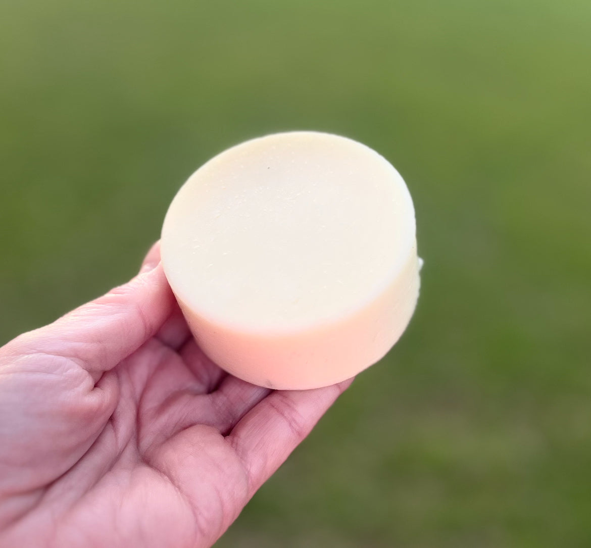 Shampoo & Conditioner Bar Set ~  Zero Waste Hair Care