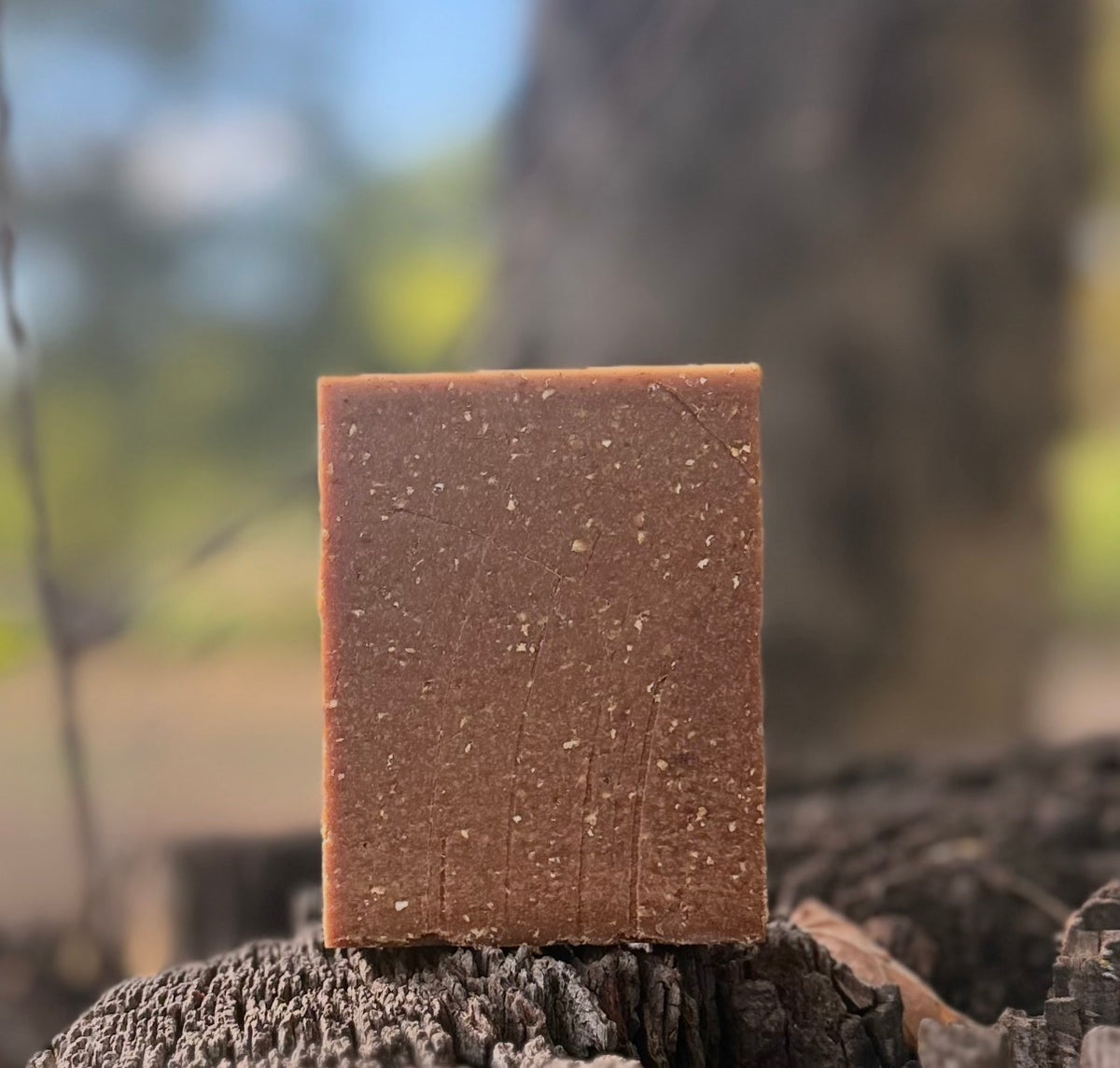 Pine Tar with Local Honey & Ground Oat (Tallow) ⭐️Pre Order ~ To be shipped @ week of 10/19⭐️