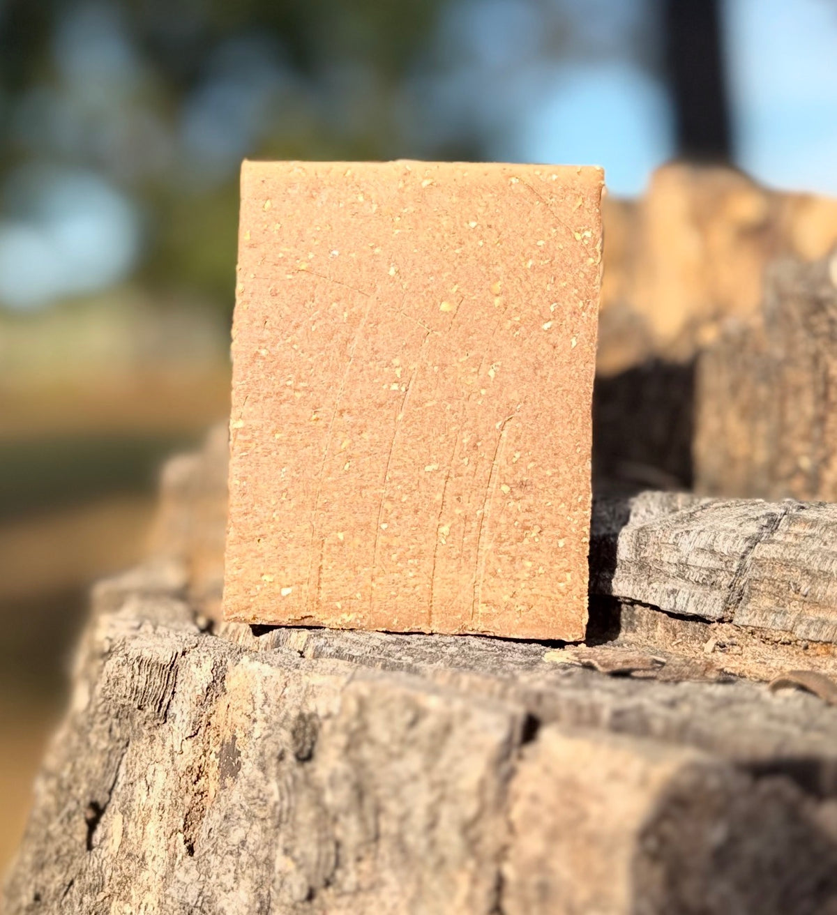 Pine Tar with Local Honey & Ground Oat (Tallow) ⭐️Pre Order ~ To be shipped @ week of 10/19⭐️