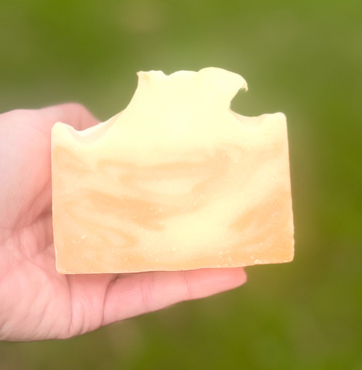 Apricot Freesia⭐️PRE ORDER ~ to be shipped week of 6/22⭐️