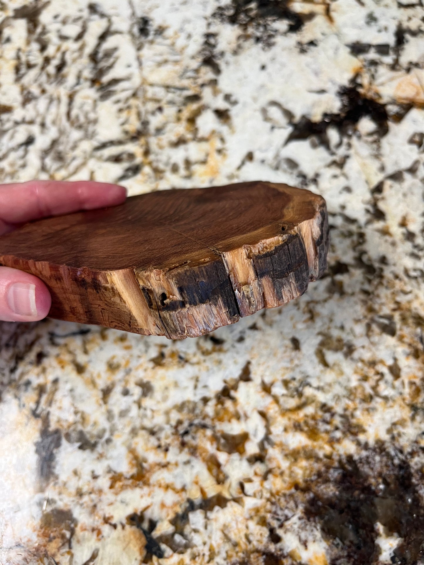 Handcrafted Cedar Soap Dish Tray/Display ❤️You Will Also Receive 1 Bar of Artisan Soap when ordered.  My choice ❤️