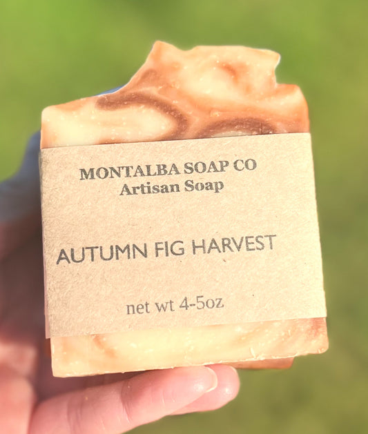 Autumn Fig Harvest